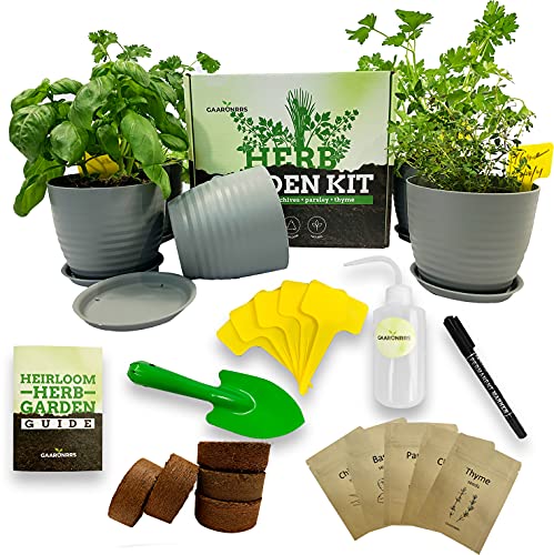 Buy Indoor Herb Garden Starter Kit - Complete Window Gardening Kit With Planter Pots Coco Soil Pellets Labels Marker - Non-gmo Heirloom Seeds Basil Cilantro Chives Parsley Thyme Online In Indonesia B0912s6nzt