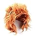 IN HAND Lion Mane for Cat Appreal, Pet Costume Lion Mane Wig Pet Cat Caps Cat Hat Dress up with Ears for Halloween