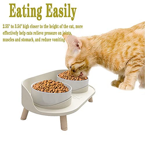 Elevated Cat Food Bowls with NoSpill Design, Raised Ceramic Cat Dog