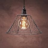 Darice 30009023 Chicken Wire Pendant Light Shade 12 X 6