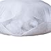 IZO All Supply Set of 4, 20x20 Pillow Insert, Sham Stuffer Decorative Throw Pillow Inserts