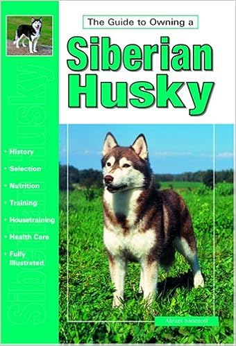 Guide to Owning a Siberian Husky (Re Dog Series) �y�[�p�[�o�b�N  - 1996/3/1