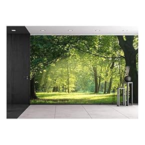 Trees in a Summer Forest - Removable Wall Mural | Self-Adhesive Large Wallpaper - 66x96 inches