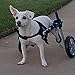 Walkin' Wheels Dog Wheelchair - For Small Dogs 18-25 lbs - Veterinarian Approved - Wheelchair for Back Legs
