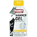 Hammer Nutrition Gel Single Serve Packets MIXED Flavors(12 Pack)