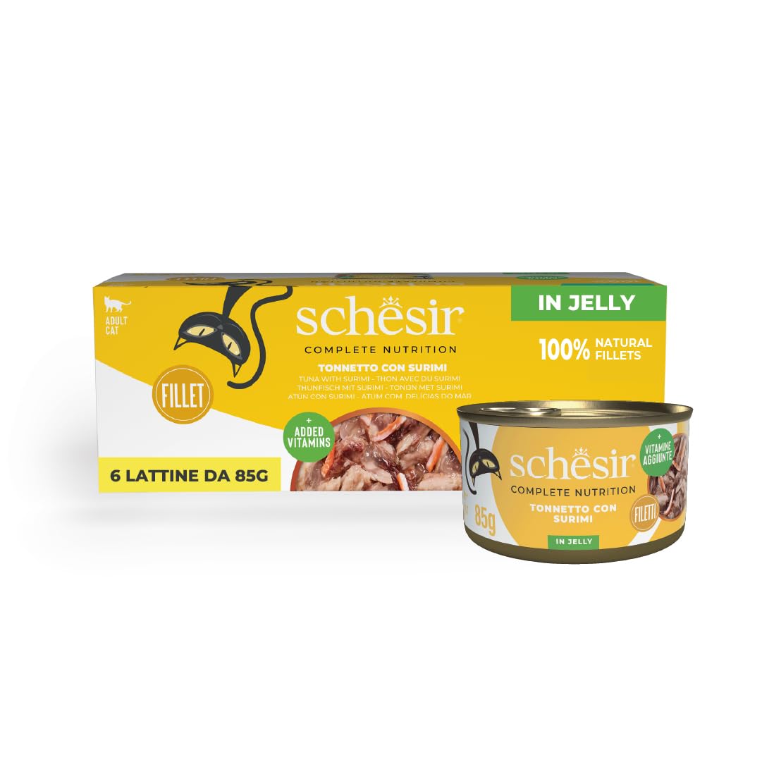 Schesir Pineapple Fruit Cat Chicken gr758