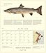 Trout of North America Wall Calendar 2017