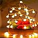 Globe String Lights, 40 LED Waterproof Decorative String Lights Outdoor, IP 65, Battery Operated Starry Fairy Lights for Patio, Christmas, Garden, Wedding, Parties