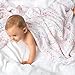 aden + anais Classic 4 Piece Swaddle Baby Blanket, Petal Blooms