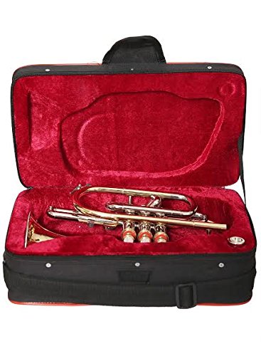 Nasir Ali Co-01, Cornet, Bb, Brass