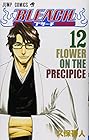 BLEACH -ブリーチ- 第12巻
