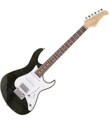 Amazon.com: Cort 6 String Solid-Body Electric Guitar, Right
