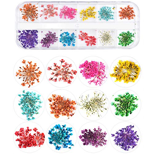 editTime 36 Colors Nail Dried Flowers 3D Nail Art Sticker, Flower Beauty Nail Stickers for Manicure, Natural Real Dry Flower Kit with a Curved Tweezers and a Nail Brush(4) - Thumbnail 3