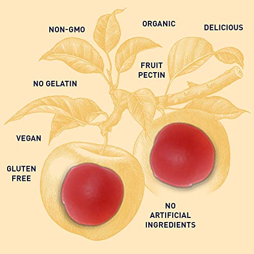 Apple Cider Vinegar Energy Gummies by Garden of Life mykind Organics