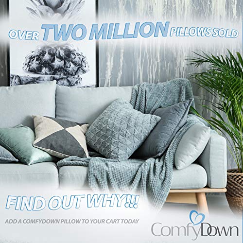ComfyDown 95% Feather 5% Down, 22 X 22 Square Decorative Pillow Insert, Sham Stuffer - Made in USA