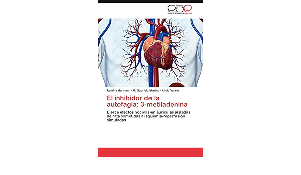 El inhibidor de la autofagia: 3-metiladenina: Ejerce efectos nocivos en  aurículas aisladas de rata sometidas a isquemia-reperfusión simuladas  (Spanish Edition): Hermann, Romina, Marina, M. Gabriela, Varela, Alicia:  9783659039201: Amazon.com: Books