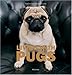 Living with Pugs by