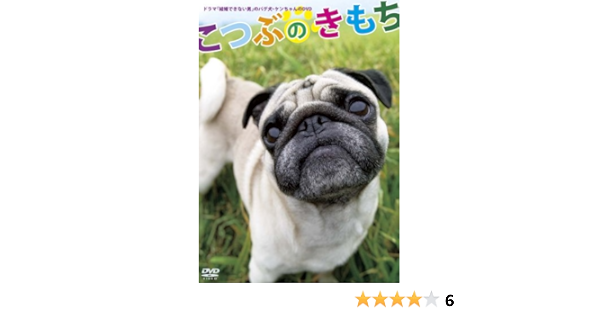 Amazon Com 結婚できない男 のパグ犬 ケンちゃんのdvd こつぶのきもち Movies Tv