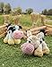 Crochet a Farm: 19 Cute-as-Can-Be Barnyard Creations