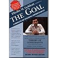 The Goal: A Process of Ongoing Improvement