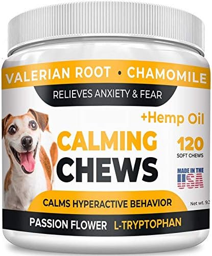 orvis dog beds amazon