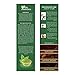Kangana Black Henna Powder for 100% Grey Coverage - Natural Black Henna Powder for Hair Dye/Color Pack of 6-60g (2.11 Oz)
