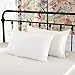 LILYSILK 19mm Silk Pillowcase for Hair and Skin with Cotton Underside Standard/Queen 20x30 Inch Ivory 1pc