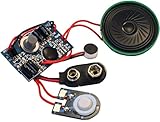20 Second recording module with 9V battery Connector