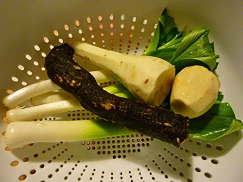 image for Fertile Ukraine Seeds Seeds Salsify Medical Black Root Vegetable Organ