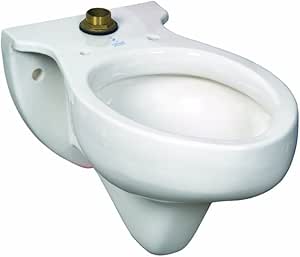 Crane 3460 100 Rapidway Elongated Wall Mounted Toilet White One Piece Toilets Amazon Com