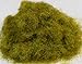 WWS Spring 6mm Mix Model Basing Static Grass 20g G,O,HO/OO,TT,N.Z Wargames