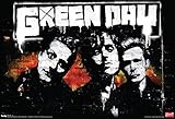 Green Day Brick Music Poster 19 x 13in