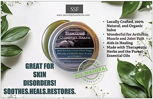 Healing Comfrey Salve (Unscented) (.5 oz. Sample)