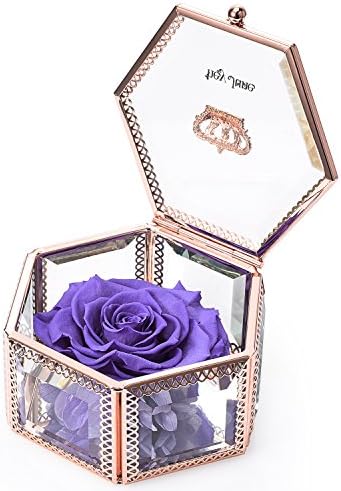 Valentines day Gifts, hey June Handmade Preserved Rose, Upscale Immortal Flowers, Anniversary Gifts for Her, Gifts for Mom, Sister, Girls, Mother's Day, Valentine's Day, Birthday (Purple)
