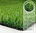 PZG Premium Deluxe Artificial Grass Patch w/ Drainage Holes | 4-Tone Synthetic Grass Mat | 1.6