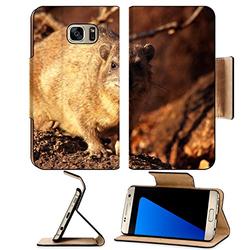 MSD Premium Samsung Galaxy S7 Edge Flip Pu Leather Wallet Case Dassie Basking on the Rocks in South African Morning Sun Image ID 24566362