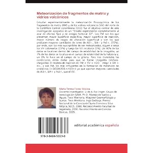 Meteorización de fragmentos de matriz y vidrios volcánicos: Fragmentos de matriz y vidrios volcánicos precursores de los materiales de bajo grado d