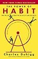 The Power of Habit: Why We Do What We do in Life and Business