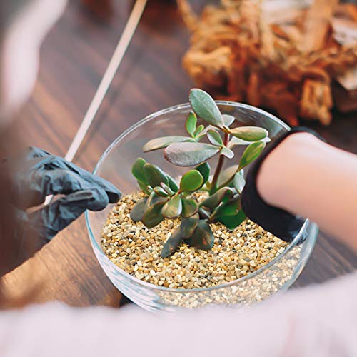 Succulents and Cactus Bonsai DIY Projects Rocks Fairy Gardening，Natural