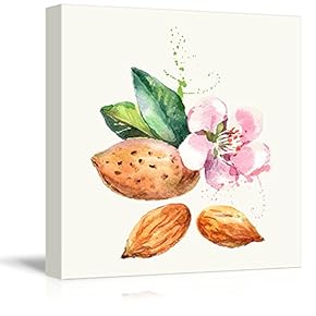 Square Canvas Wall Art - Almond Watercolor | Fruits Watercolor Art and Illustrations - Giclee Print Gallery Wrap Modern Home Art Ready to Hang - 12x12 inches