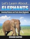 Elephants (Let's Learn About)