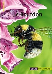 Le  bourdon
