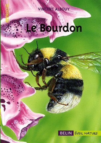 Le  bourdon