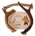 3 Pack Small Deer Antler Dog Chews - 5 Inches to 10 Inches - for Small Dogs - Big Dog Antler Chews