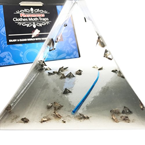 Clothes Moth Traps with Pheromone Attractant, Non-Toxic Odor-Free Safe able to use in Closet Rooms and Wardrobe (6 Traps)