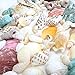 Fantastic Set of 90 Assorted Natural Sea Shells Beach Ocean