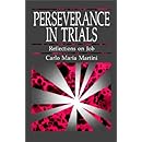 Perseverance in Trials: Reflections on Job