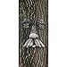 Mountain Man Tree Face (Weathered)