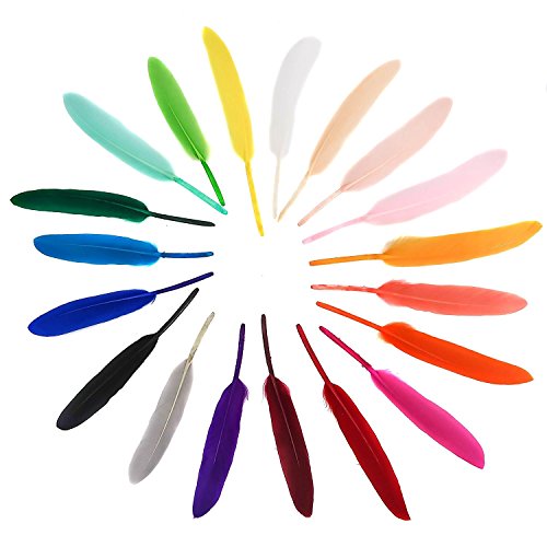 TOAOB 250pcs 19 Color Natural Goose Feathers 4-6 Inch for DIY Crafts Wedding Home Party Decorations and Jewelry Making