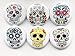 Day of the Dead Sugar Skull Dia De Los Muertos 6 Magnets Skeleton Calavera Stocking Stuffers Party Favors Halloween Treats Gifts Wedding